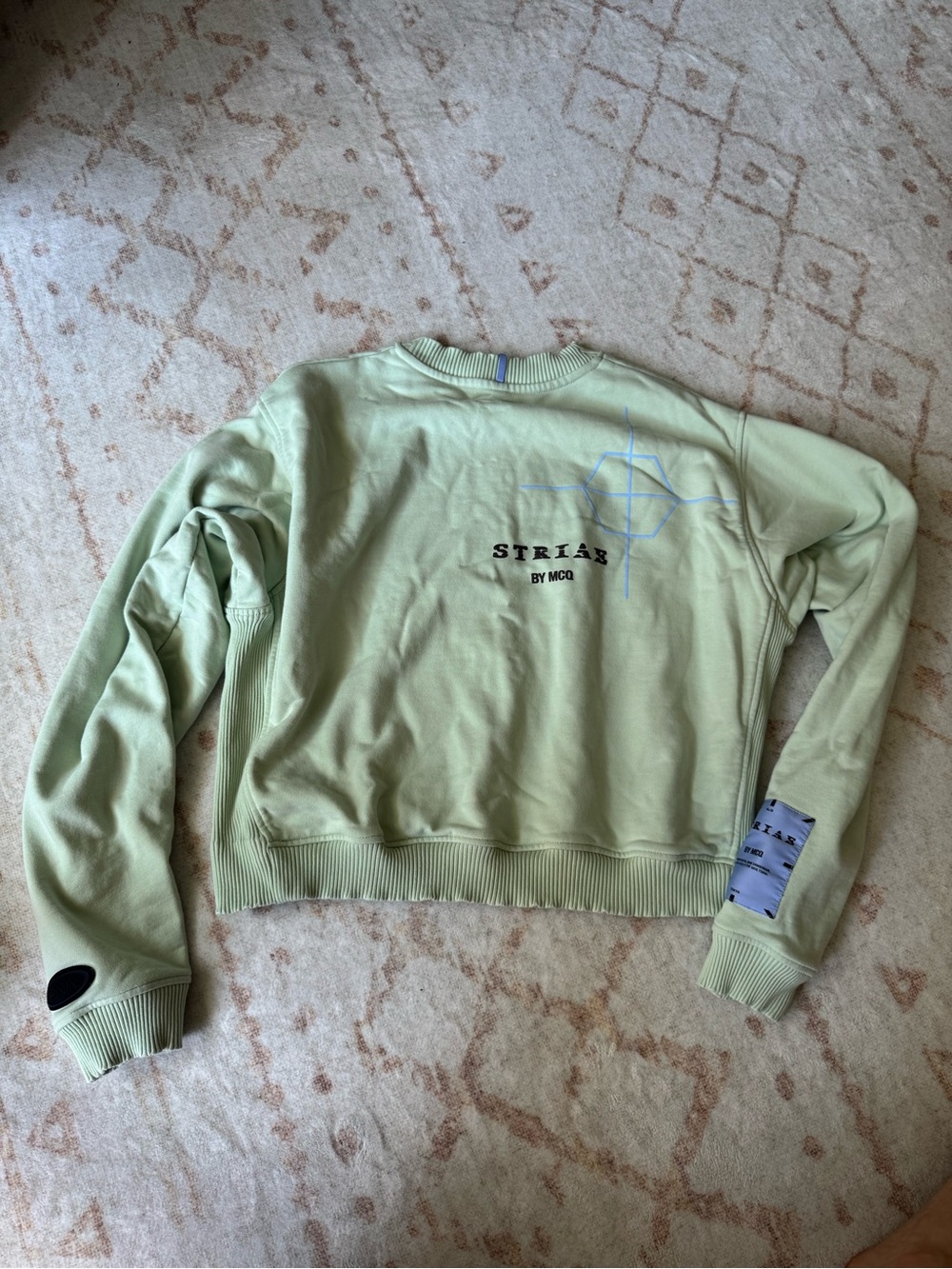 McQ by Alexander McQueen Pale Green Graphic Crewneck Sweatshirt